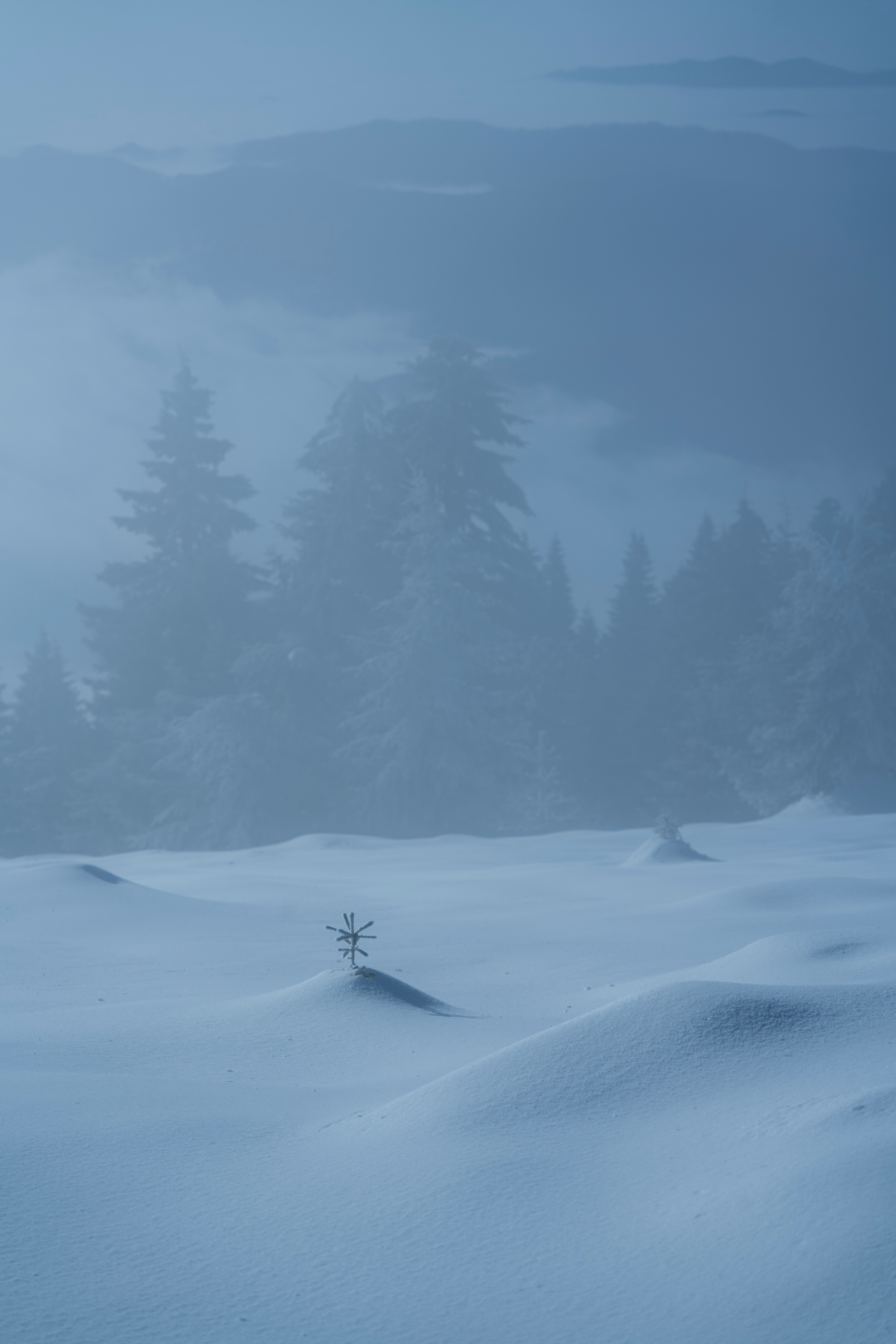 A bleak, snow-covered landscape